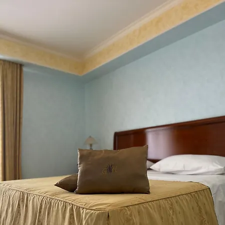 嘉尔德尼亚酒店 酒店 4*