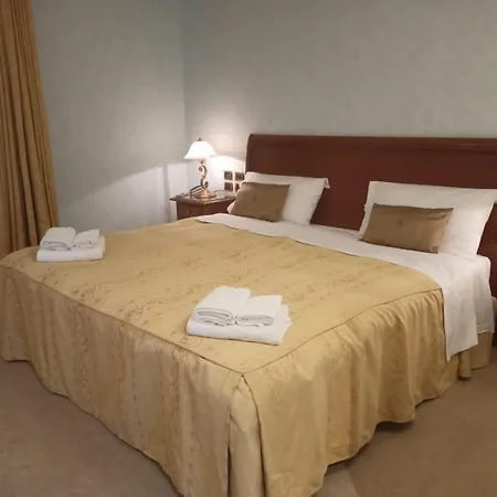 嘉尔德尼亚酒店 酒店 4*