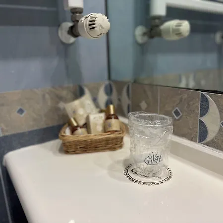 嘉尔德尼亚酒店 4*